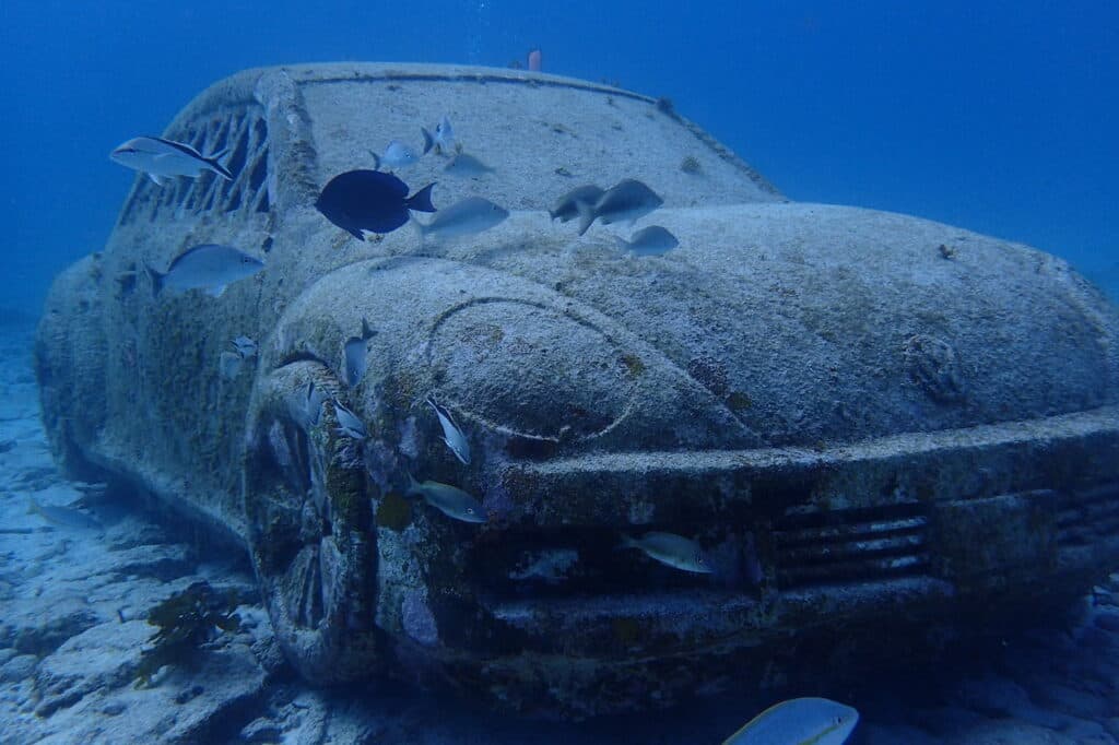 潛水及旅遊部落格