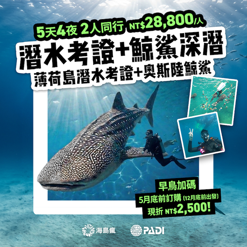 鯨鯊共游潛水考照