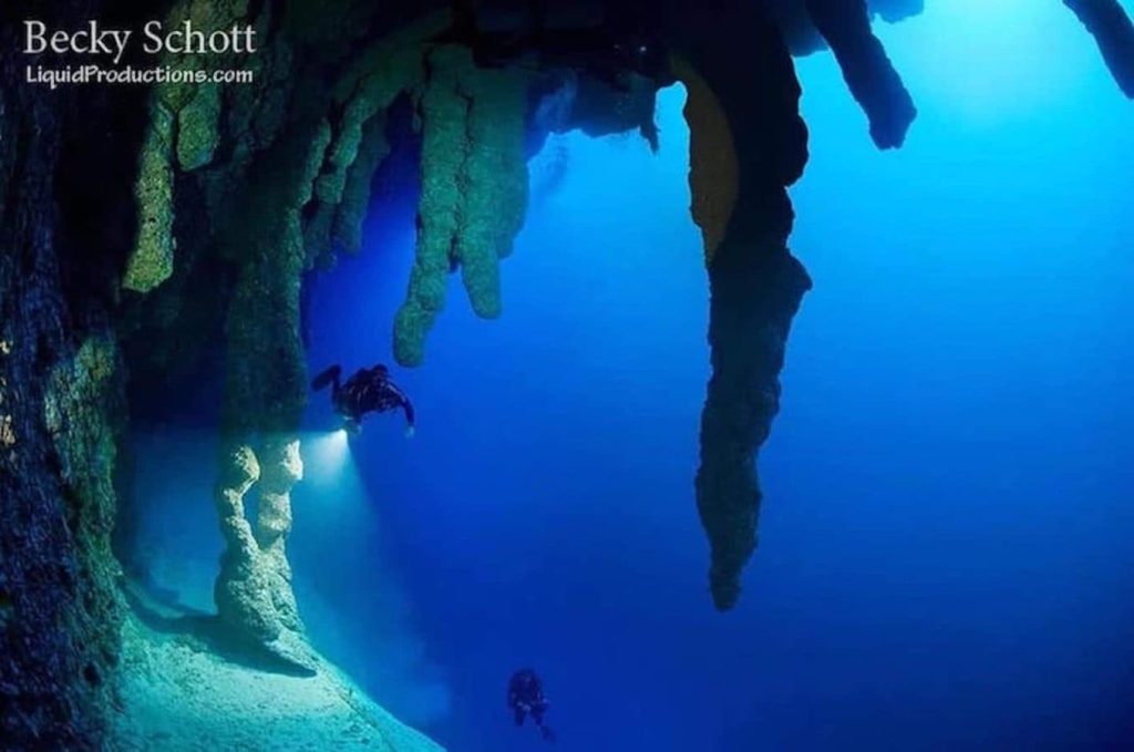 中美洲-潛進貝里斯Belize大藍洞-8天7夜船宿潛水行程