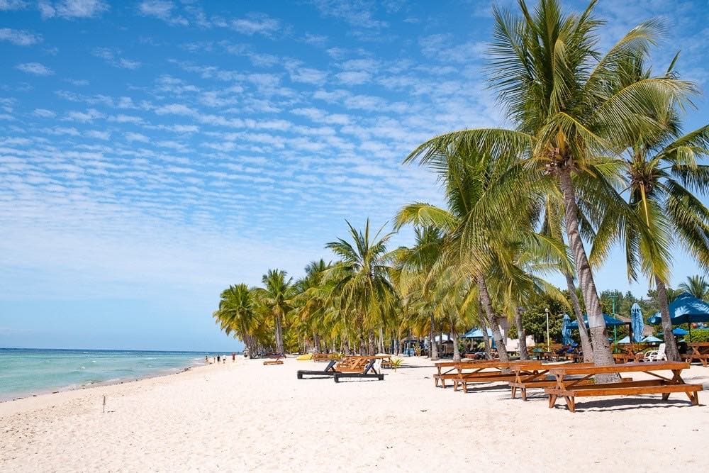 薄荷島BBC渡假村